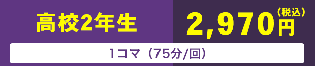 高校２年生　1コマ（75分/回）　2,970円